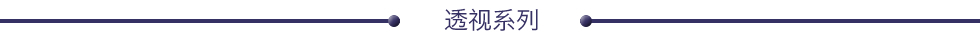 透视系列