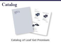 Catalog